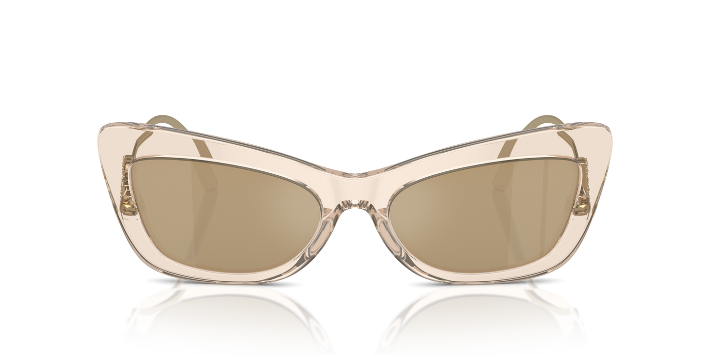 Dolce & Gabbana Sunglasses DG4467B 343203