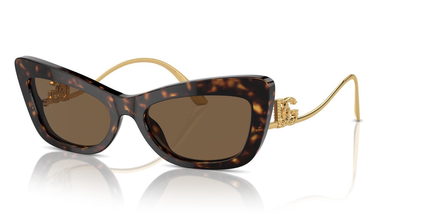 Dolce & Gabbana Sunglasses DG4467B 502/73