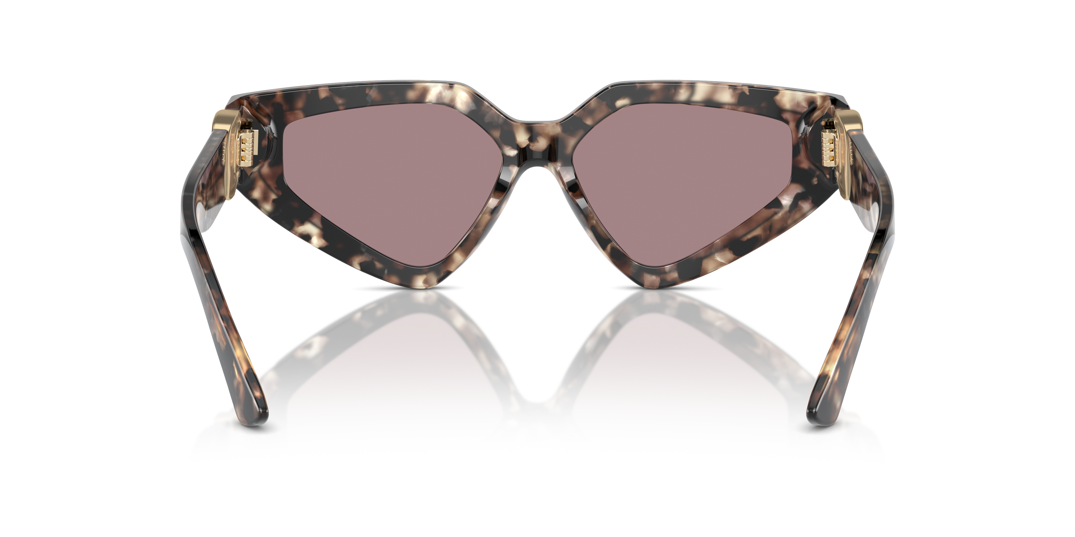 Dolce & Gabbana Sunglasses DG4469 34387N