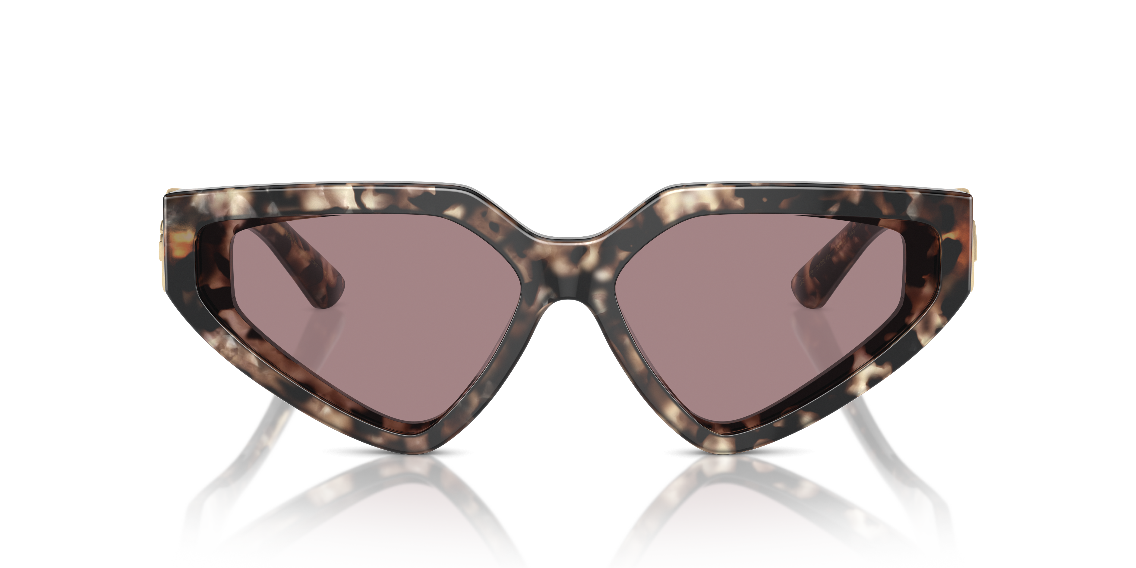 Dolce & Gabbana Sunglasses DG4469 34387N
