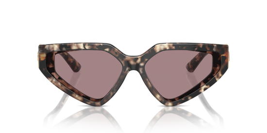 Dolce & Gabbana Sunglasses DG4469 34387N