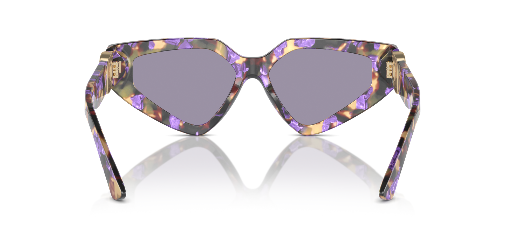 Dolce & Gabbana Sunglasses DG4469 3439/1