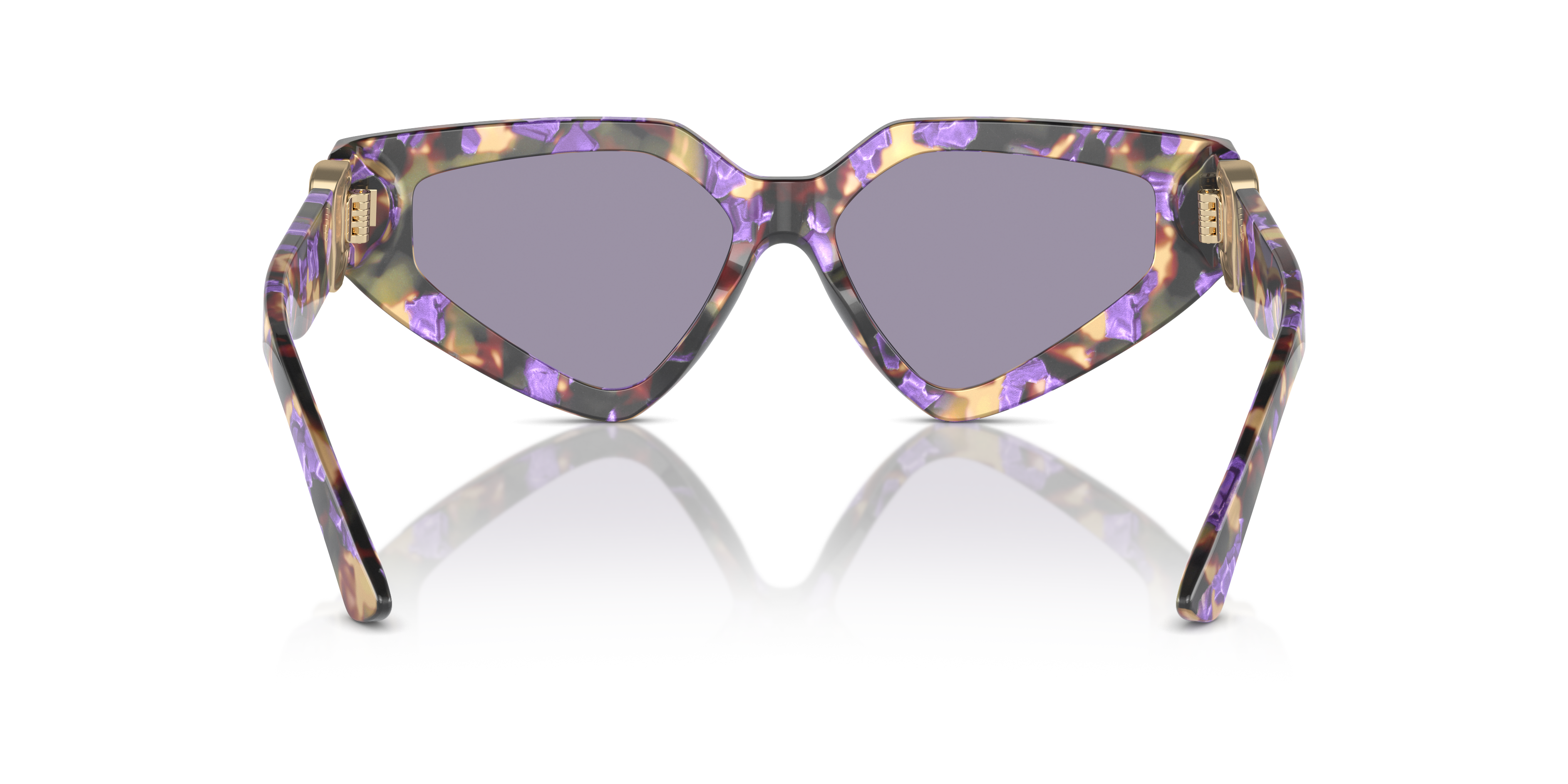 Dolce & Gabbana Sunglasses DG4469 3439/1