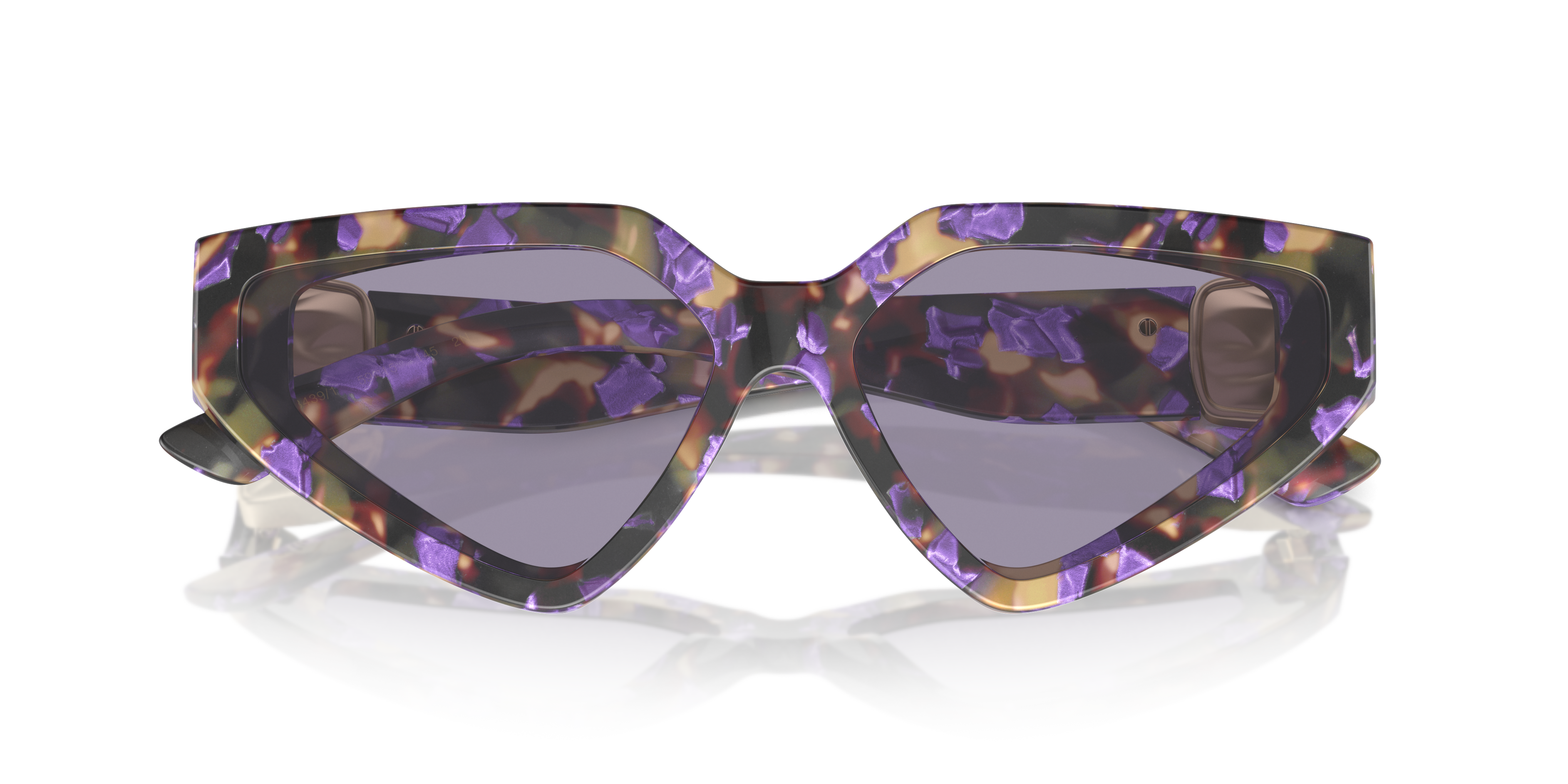 Dolce & Gabbana Sunglasses DG4469 3439/1