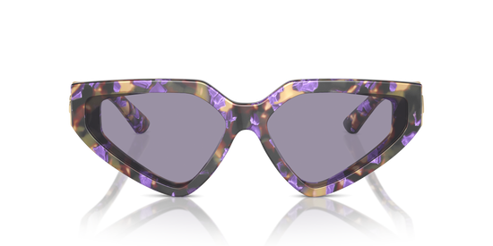 Dolce & Gabbana Sunglasses DG4469 3439/1