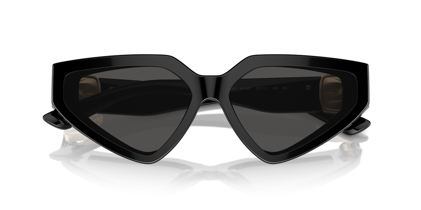 Dolce & Gabbana Sunglasses DG4469 501/87