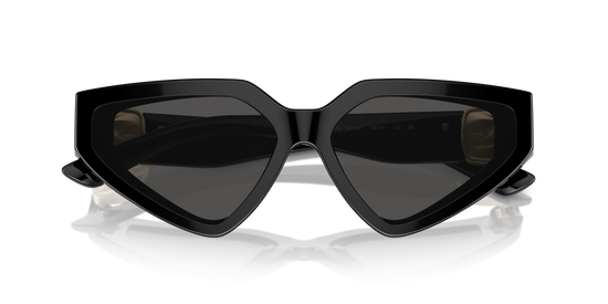 Dolce & Gabbana Sunglasses DG4469 501/87
