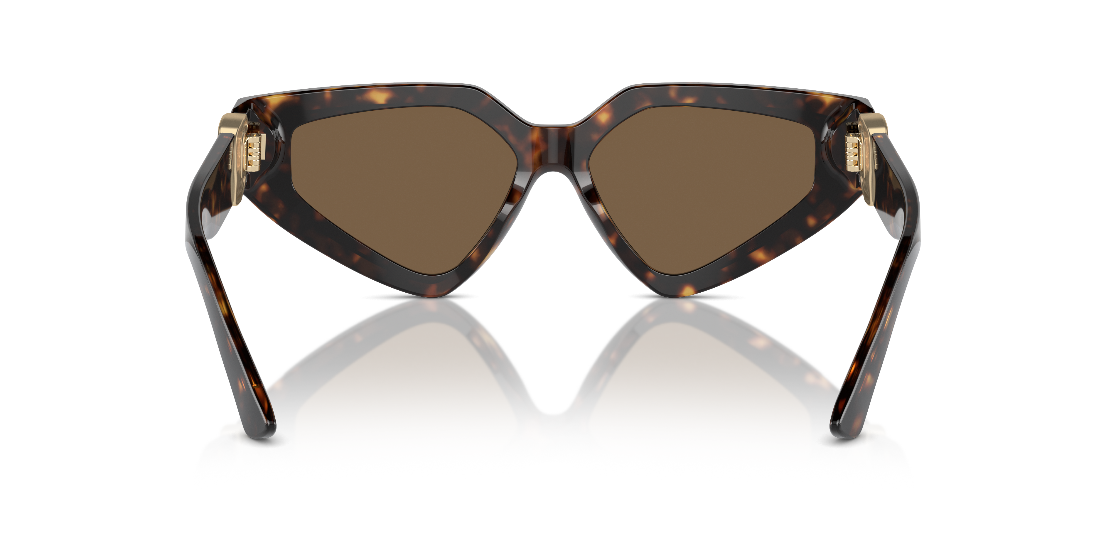 Dolce & Gabbana Sunglasses DG4469 502/73