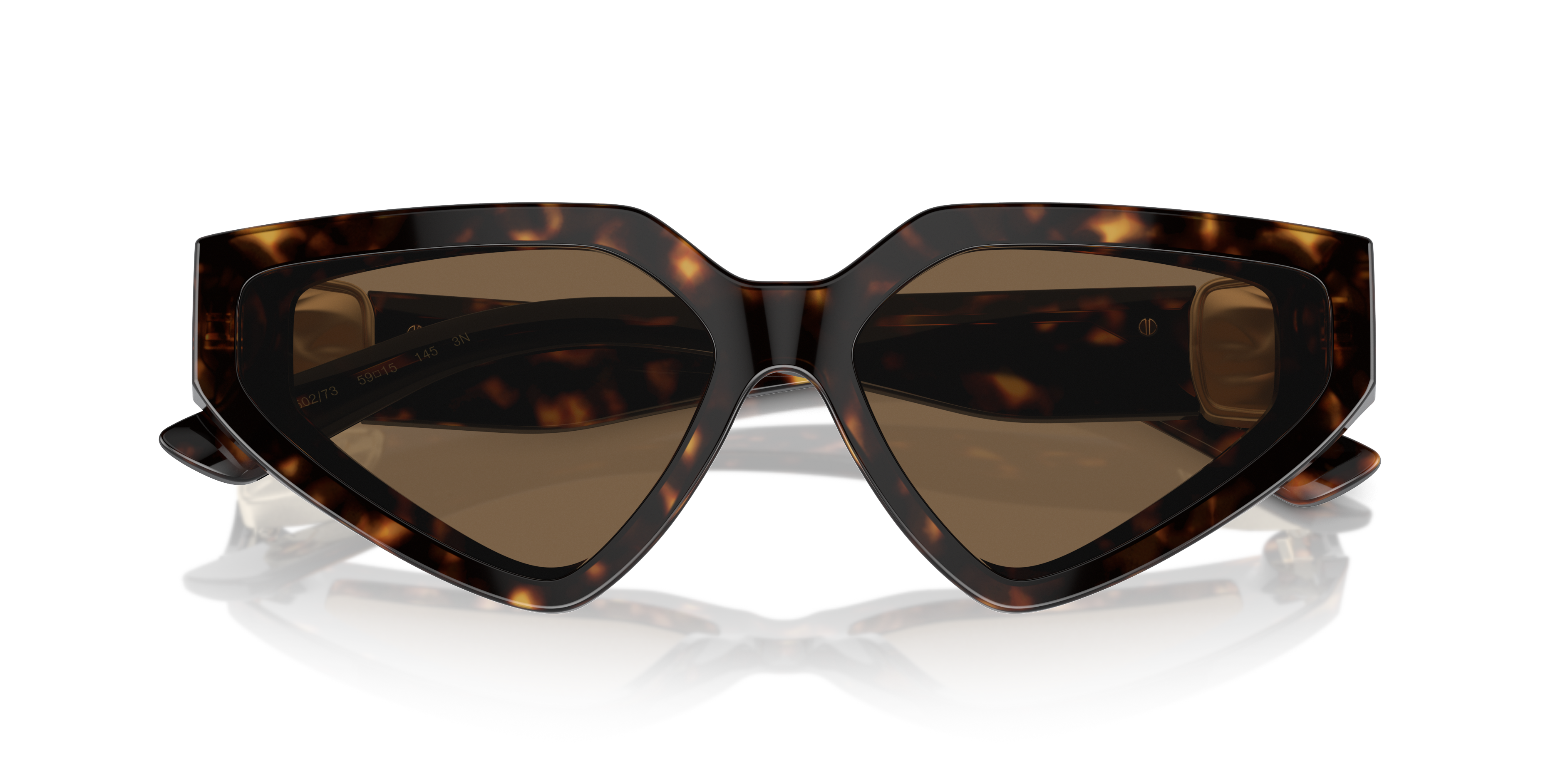 Dolce & Gabbana Sunglasses DG4469 502/73