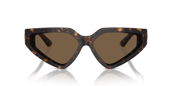 Dolce & Gabbana Sunglasses DG4469 502/73