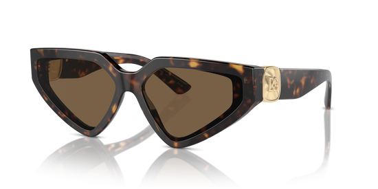 Dolce & Gabbana Sunglasses DG4469 502/73