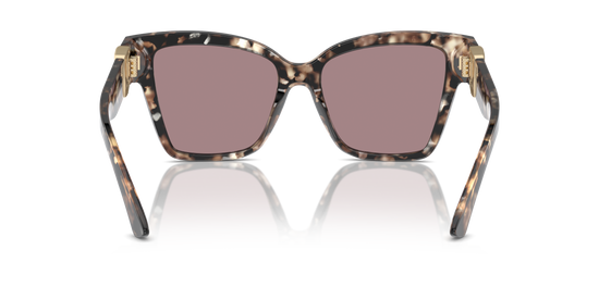 Dolce & Gabbana Sunglasses DG4470 34387N