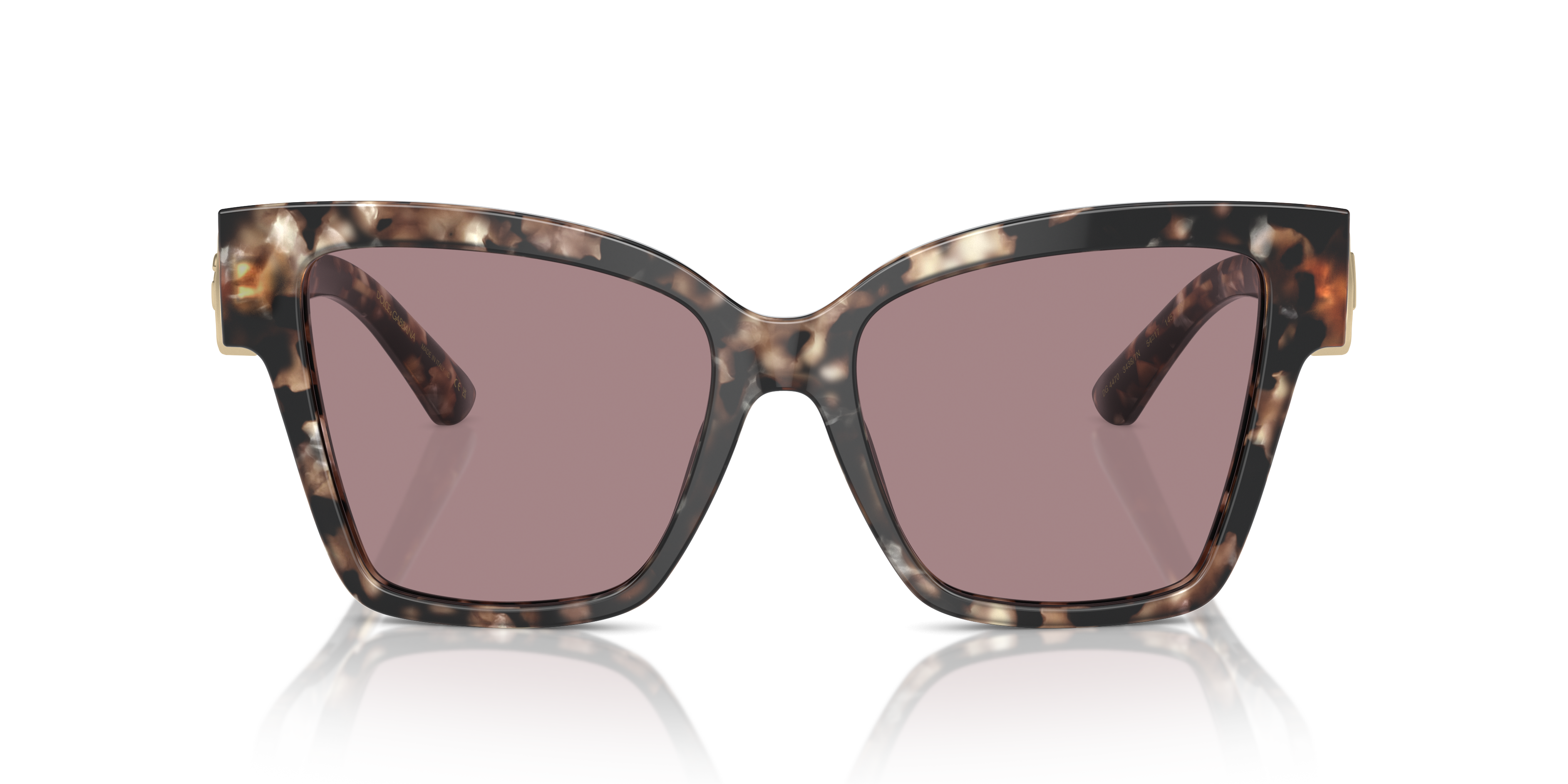 Dolce & Gabbana Sunglasses DG4470 34387N
