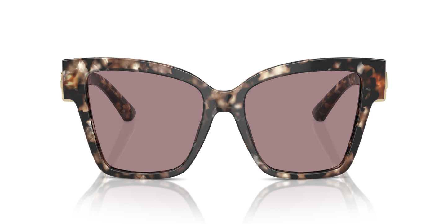 Dolce & Gabbana Sunglasses DG4470 34387N