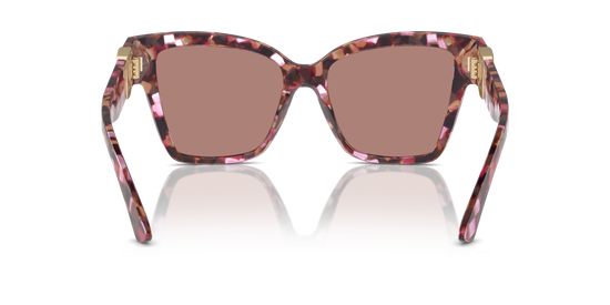 Dolce & Gabbana Sunglasses DG4470 344073