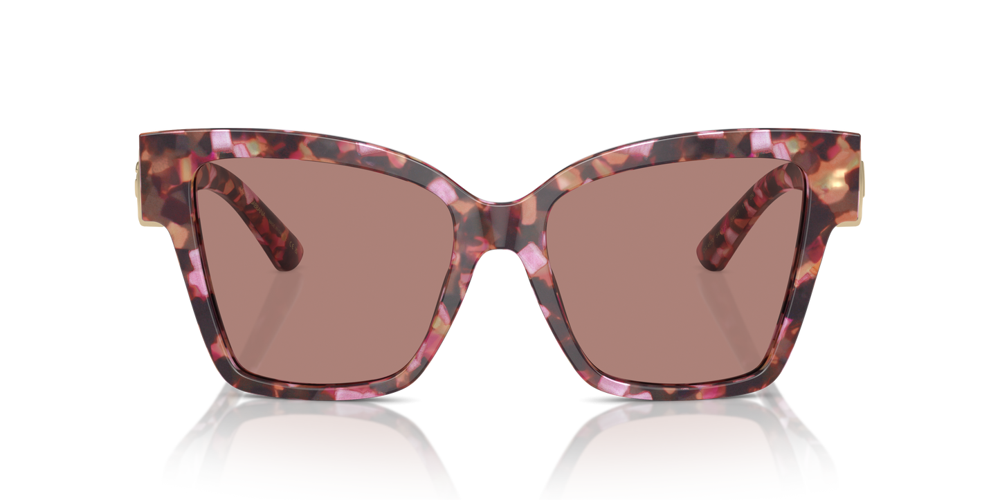 Dolce & Gabbana Sunglasses DG4470 344073