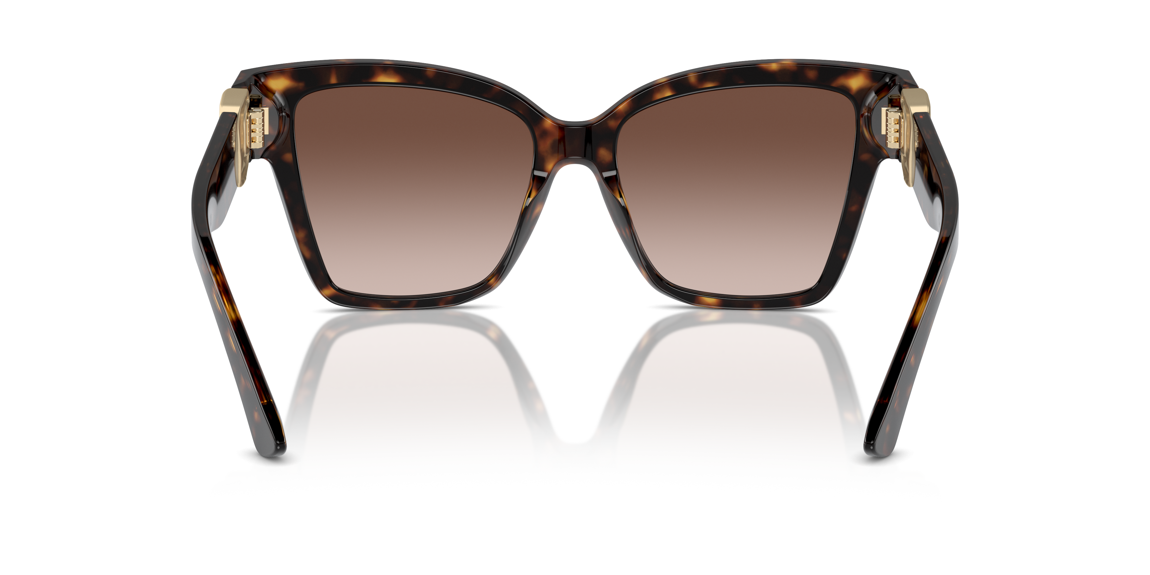 Dolce & Gabbana Sunglasses DG4470 502/13