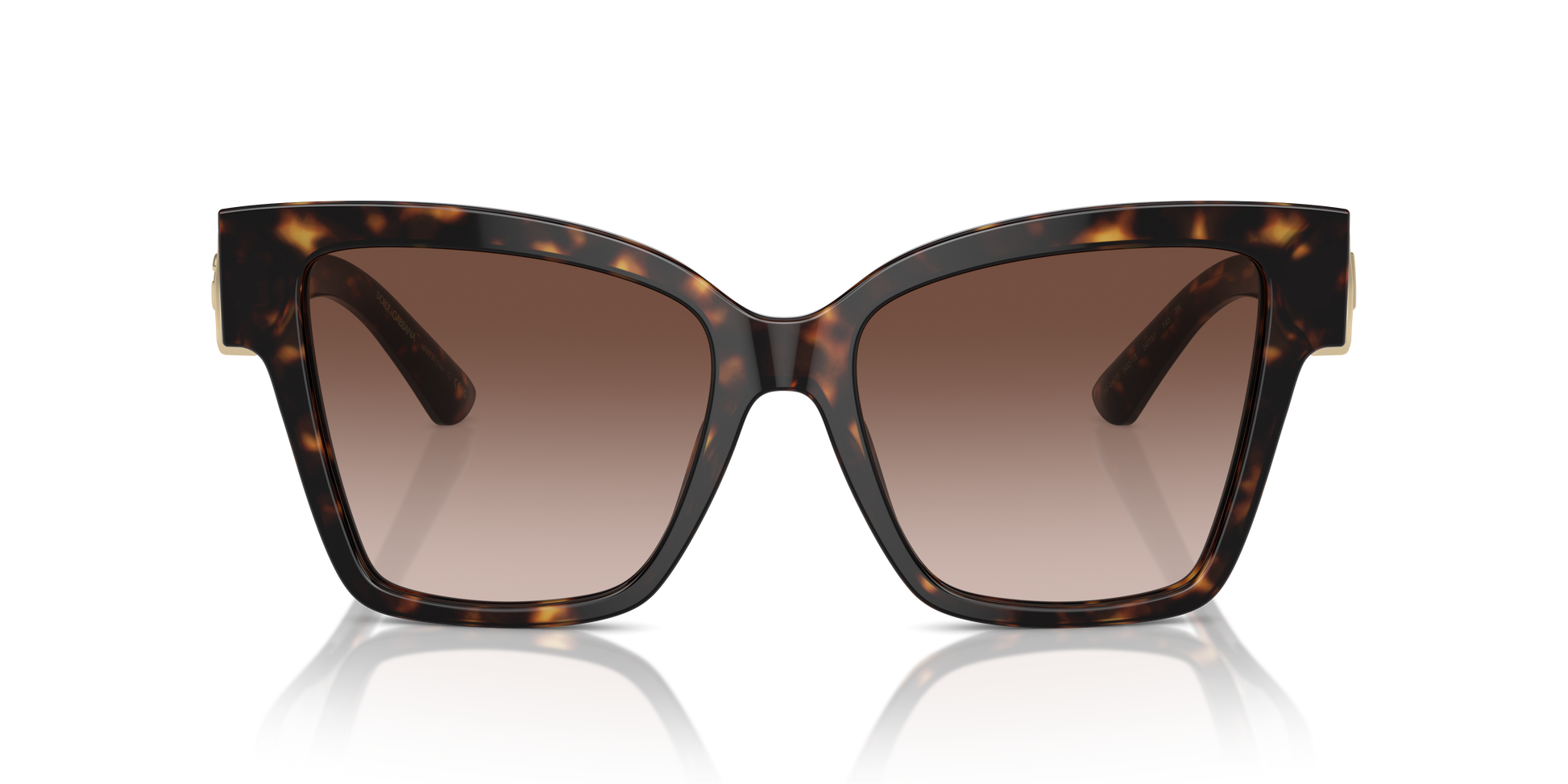 Dolce & Gabbana Sunglasses DG4470 502/13