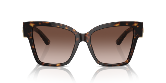 Dolce & Gabbana Sunglasses DG4470 502/13