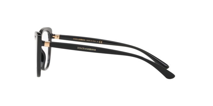 Dolce & Gabbana Eyeglasses DG5039 501