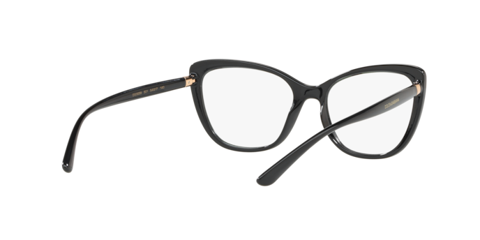 Dolce & Gabbana Eyeglasses DG5039 501
