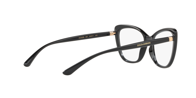Dolce & Gabbana Eyeglasses DG5039 501
