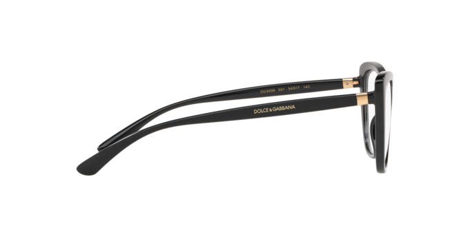 Dolce & Gabbana Eyeglasses DG5039 501