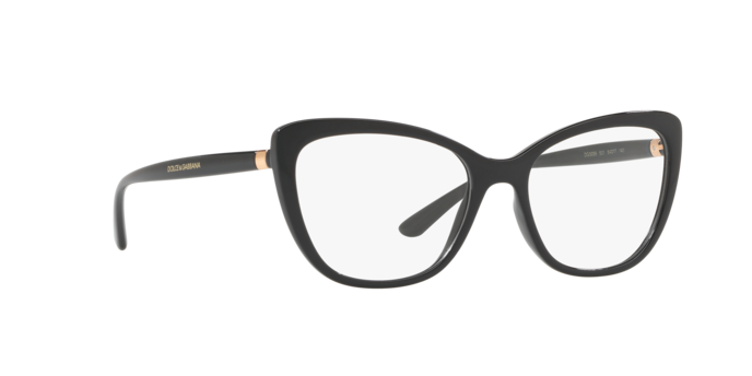 Dolce & Gabbana Eyeglasses DG5039 501
