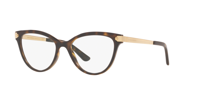 Dolce & Gabbana Eyeglasses DG5042 502