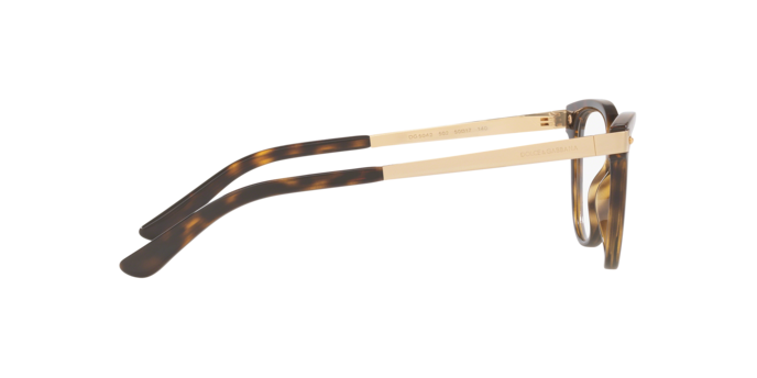 Dolce & Gabbana Eyeglasses DG5042 502