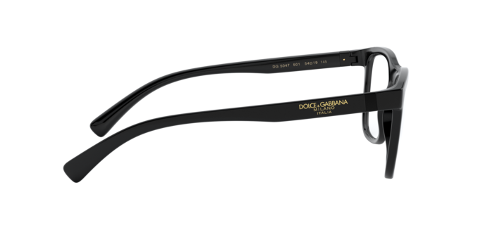 Dolce & Gabbana Eyeglasses DG5047 501