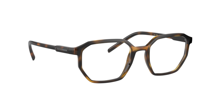 Dolce & Gabbana Eyeglasses DG5060 502