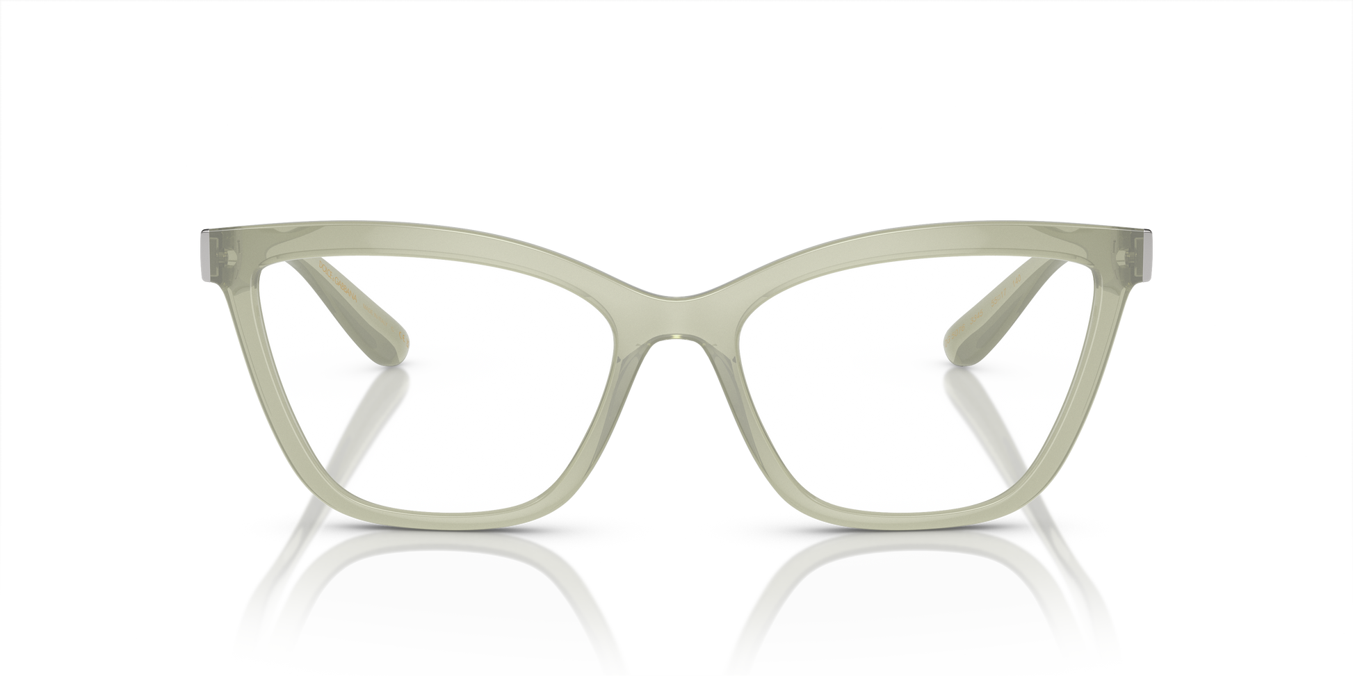 Dolce & Gabbana Eyeglasses DG5076 3345