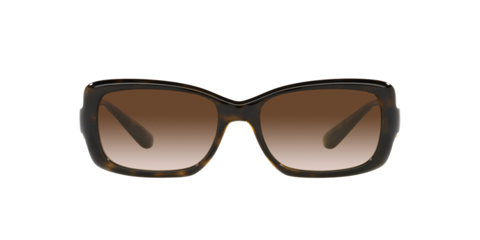 Dolce & Gabbana Sunglasses DG6152 502/13
