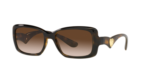 Dolce & Gabbana Sunglasses DG6152 502/13