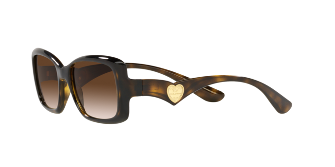 Dolce & Gabbana Sunglasses DG6152 502/13