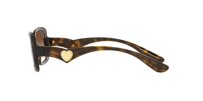 Dolce & Gabbana Sunglasses DG6152 502/13