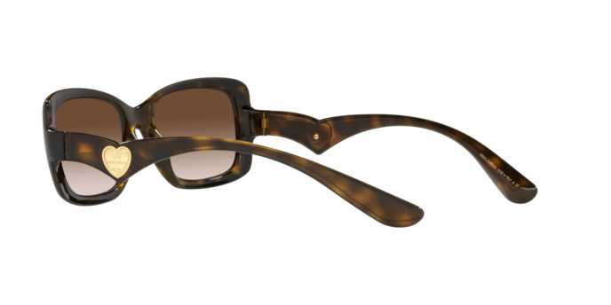 Dolce & Gabbana Sunglasses DG6152 502/13