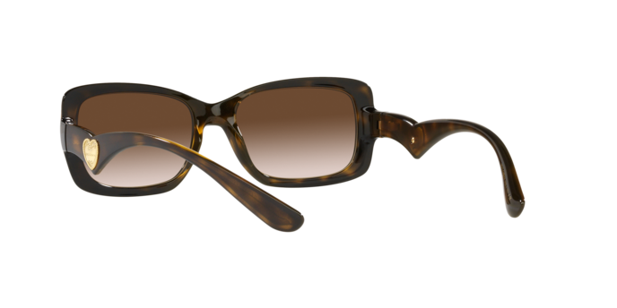 Dolce & Gabbana Sunglasses DG6152 502/13