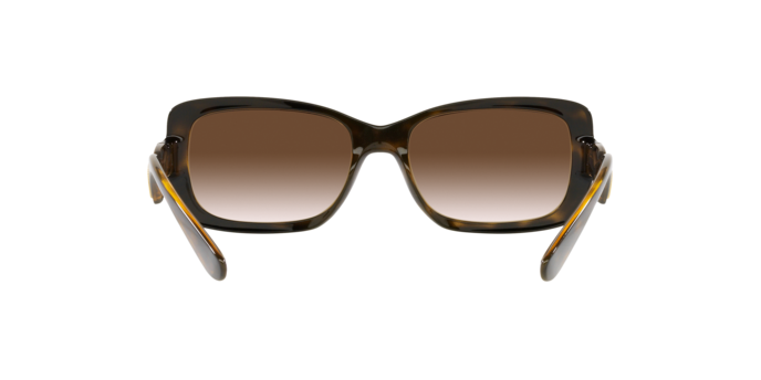 Dolce & Gabbana Sunglasses DG6152 502/13