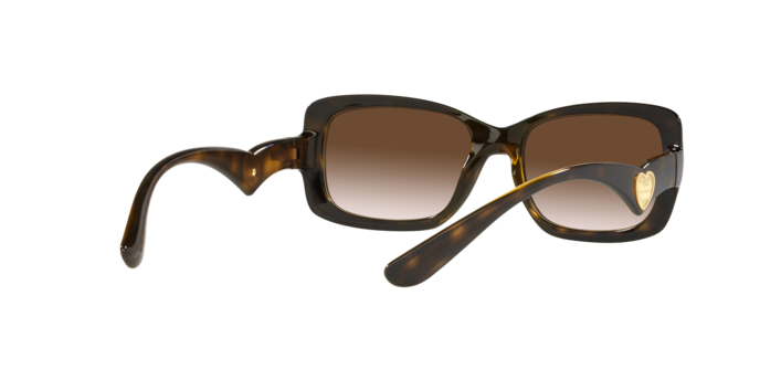 Dolce & Gabbana Sunglasses DG6152 502/13