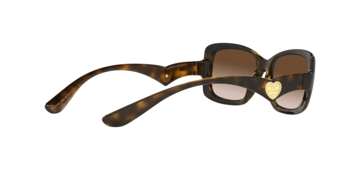 Dolce & Gabbana Sunglasses DG6152 502/13