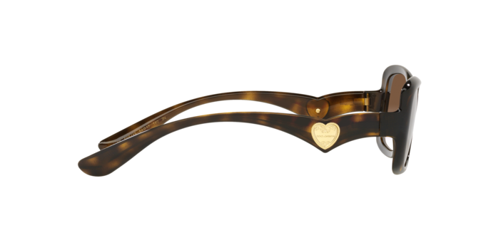 Dolce & Gabbana Sunglasses DG6152 502/13