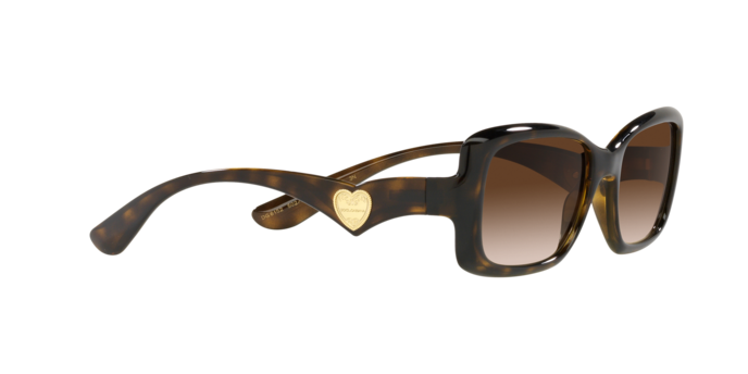 Dolce & Gabbana Sunglasses DG6152 502/13