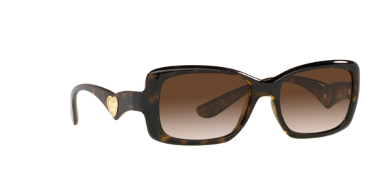 Dolce & Gabbana Sunglasses DG6152 502/13