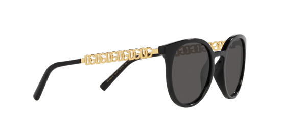 Dolce & Gabbana Sunglasses DG6189U 501/87