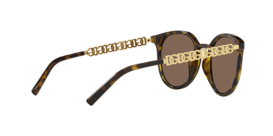 Dolce & Gabbana Sunglasses DG6189U 502/73