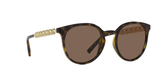 Dolce & Gabbana Sunglasses DG6189U 502/73