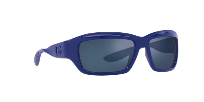 Dolce & Gabbana Sunglasses DG6191 309455