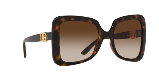 Dolce & Gabbana Sunglasses DG6193U 502/13